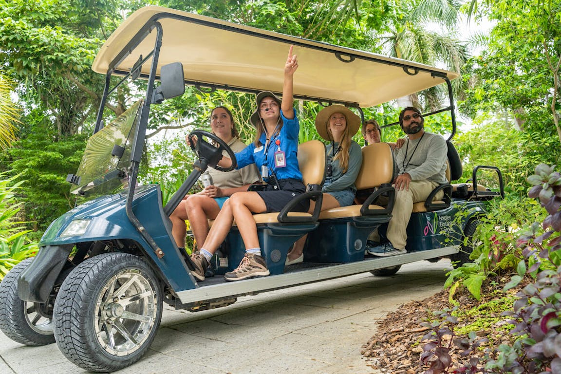 Golf Cart Tour Promo 2 1200x800